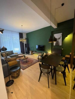 Apartman Jelen, skijanje iz apartmana, Trnovo